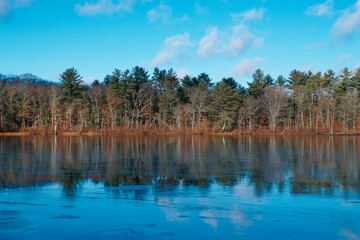 Winter scenery of Leach pond in Borderland state park Easton MA USA