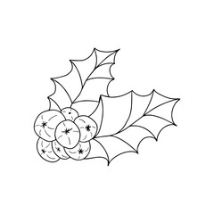 Hand drawn mistletoe. Christmas Doodle simbol for design. Isolataed on white background