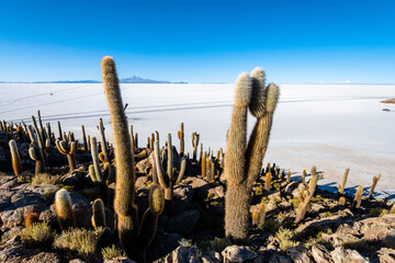 views from the top of incahuasi island in uyuni desert, bolivia
