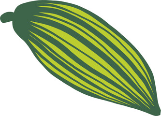 cacao fruit doodle freehand drawing.