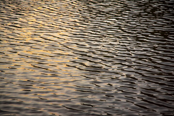 light reflected on water with waves