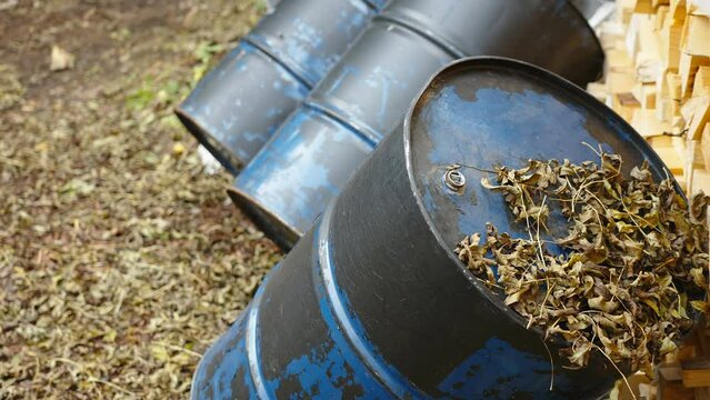 Closer look of the black barrels on the ground with the dried leaves on the top in Estonia