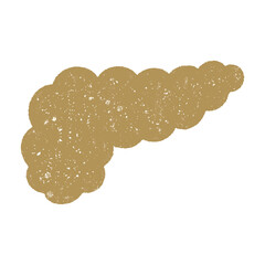 手描きの不調な膵臓　PNG