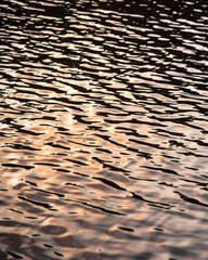 light reflected on water with waves