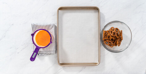 Gourmet Chocolate Covered Pretzel Twist