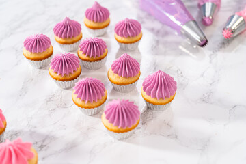 Mini Vanilla Cupcakes with Pink Buttercream Frosting