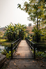 wooden bridge in a forest in thailand 