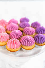 Mini Vanilla Cupcakes with Pink Buttercream Frosting