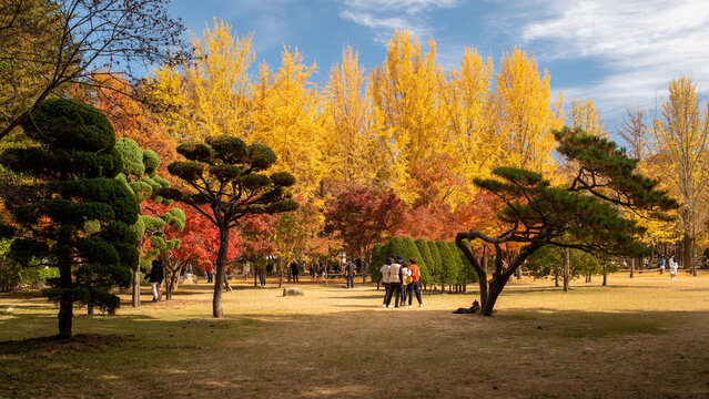 Beautiful Namiseom Nami Island on Han river in South Korea during Autumn season