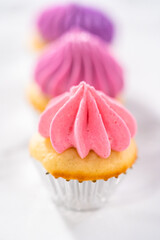 Mini Vanilla Cupcakes with Pink Buttercream Frosting