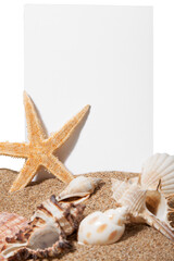 Fototapeta na wymiar Blank card on sand beach with sea shells isolated on white background
