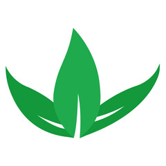 nature green leaf icon