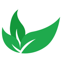 green leaf icon