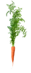 dangling a carrot XXL