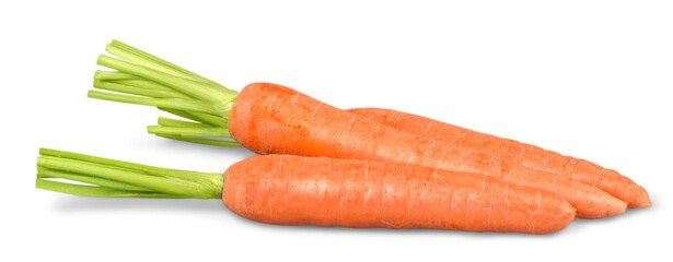 Fresh orange carrots with green leaf