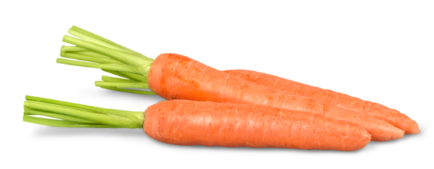 Fresh orange carrots with green leaf