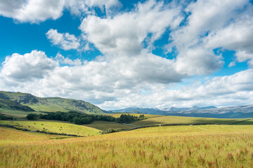 Fototapeta premium Scottish Highland summer meadows,in remote area,along North Coast 500 route,within tranquil,rural landscape,Sutherland,Lairg,Scotland,UK