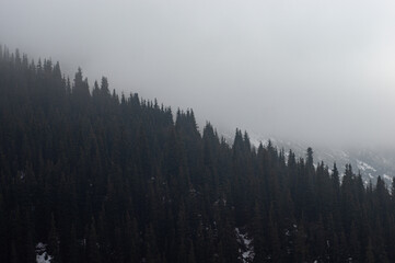 Ala-Archa river wooded mountain gorge