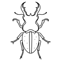 Fototapeta premium Pinching beetle. Line art on a white background. Great for introducing children to animals or for learning to color. Deer antler beetle. Vector illustration