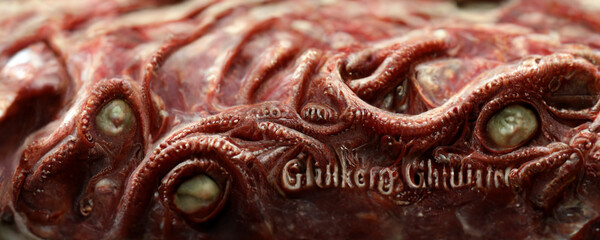 close up of a fish