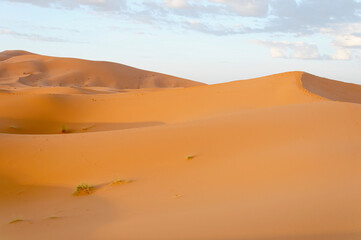 Fototapeta na wymiar Wüste Erg Chebbi, Merzouga, Marokko, Afrik