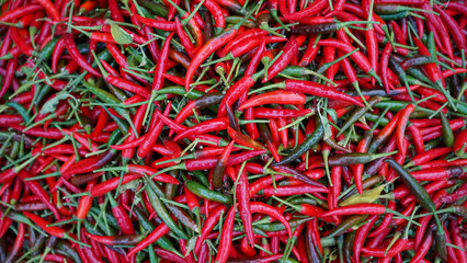 Hot chilli peppers pattern texture background. Close up background landscape of hot chili peppers.