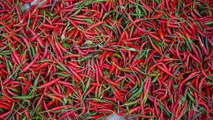 Fotobehang Hot chilli peppers pattern texture background. Close up background landscape of hot chili peppers. © somchai