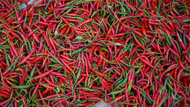 Hot chilli peppers pattern texture background. Close up background landscape of hot chili peppers.