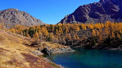 Fototapeta na wymiar scenic view to high land lake and rocky mountains, golden yellow larches forest on rockfall slopes