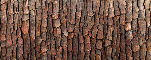 wood texture