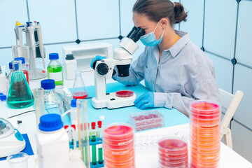 young woman laboratory assistant examining microflora cultures on petri dishes