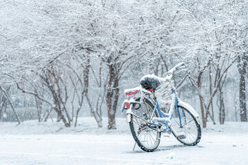 Lonely bicycle standing in the frosty forest