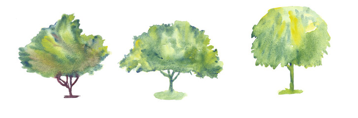 Set of hand drawn watercolor trees illustrations isolated on white. Collection of various hand painted plants