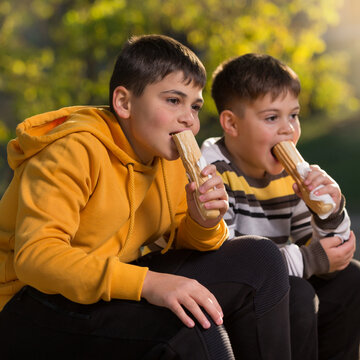 Two Friends Sitting In Nature Eating Hot Dogs, Close-up Shot