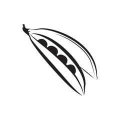 Soybeans vector isolated on white. Peas or beans icon, Healthy vegetable.