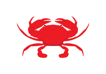Crab with big claws vector isolated on white. Red crab, Seafood. 