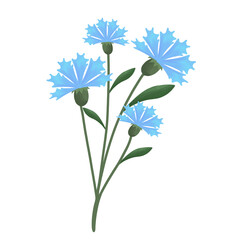beautiful bunch of blue flower illustration