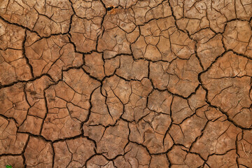 Fototapeta cracks on the ground desert texture background earth climate ecology obraz