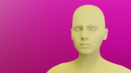 Voxel game or virtual reality engine. 3d illustration. Abstract human from voxels.