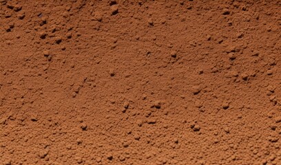 Wall texture detail in terracotta