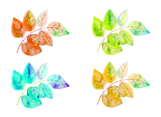 Set of watercolor leaves. Hand drawn separately isolated element of decor and design.
