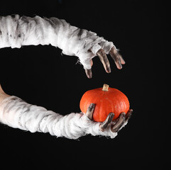Mummy hands wrapped in bandage holds decorative pumpkin isolated on black background. Halloween...