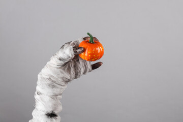 Mummy's hand wrapped in bandage holds decorative pumpkin isolated on black background. Halloween concept