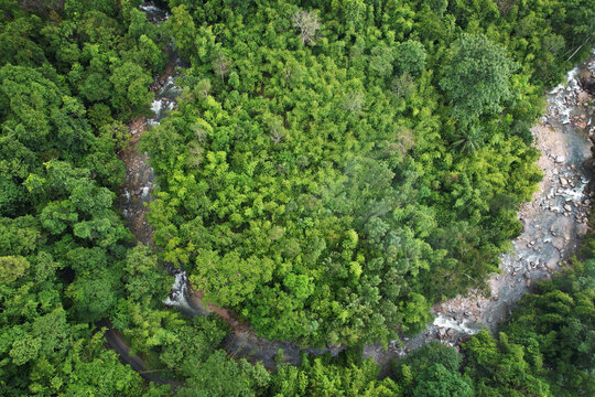 aerial view of river in the forest