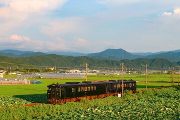 特急列車 かわせみやませみキハ47形