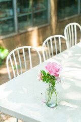 beautiful flower in vase decorated on table