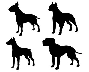 Silhouettes, wild and pet animals. Vector.