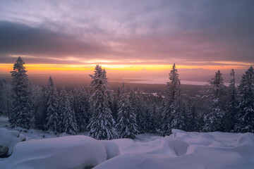Winter sunrise on the top of the mountain with the sun shines through the clouds above snow-covered trees.