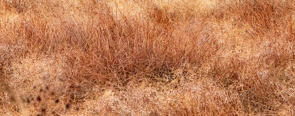 texture background