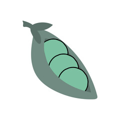 Botanical Peas Hand Drawn Vector element